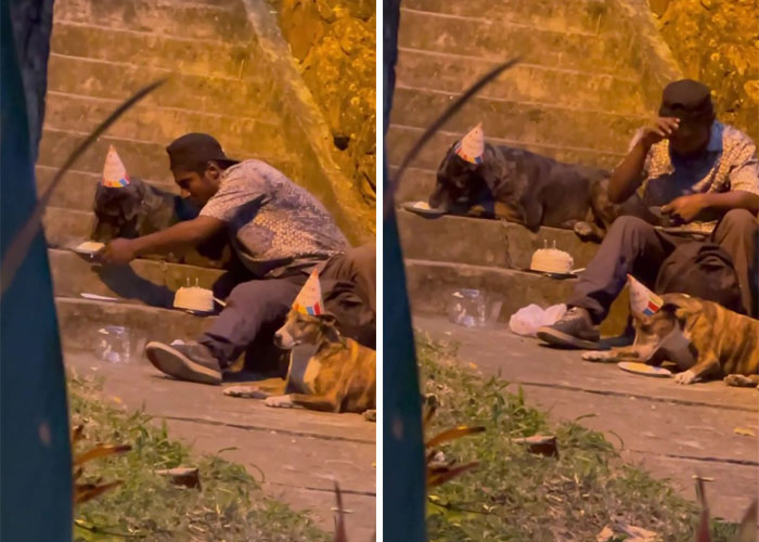 Homeless Man’s Birthday Party For His Dog Warms The Hearts Of Many, Leading To A Better Life For Them All Homeless Man’s Birthday Party For His Dog Warms The Hearts Of Many, Leading To A Better Life For Them All