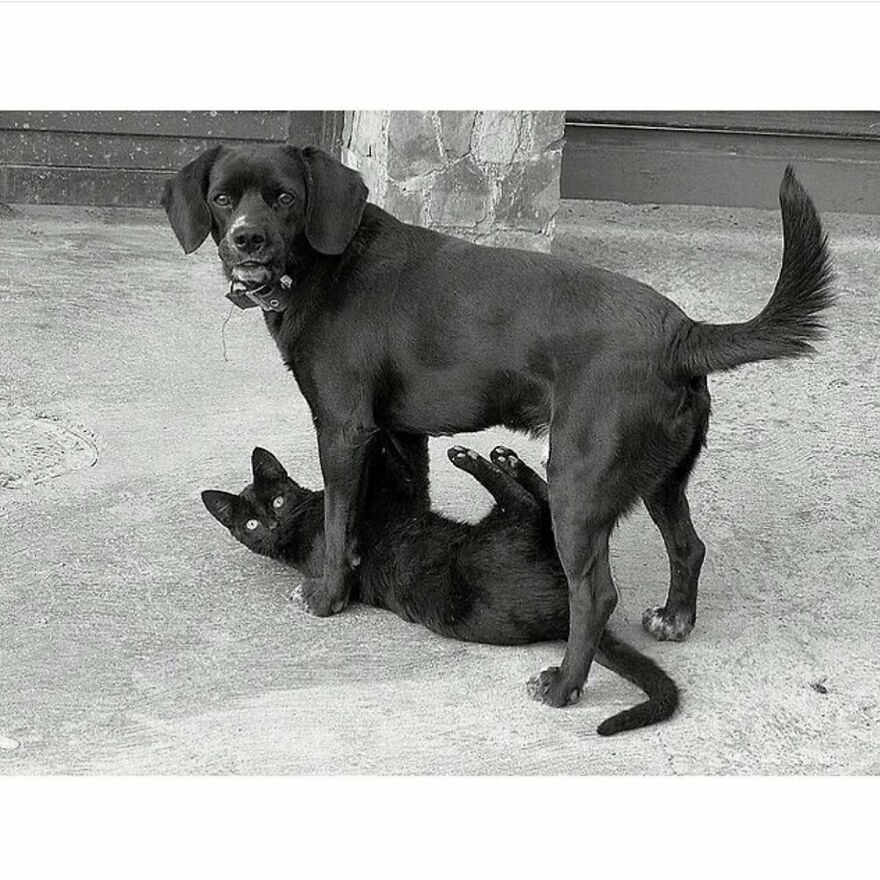 This Instagram Account Features Amusing Street Photographs And Has More Than 500 Thousand Followers (95 New Pics)