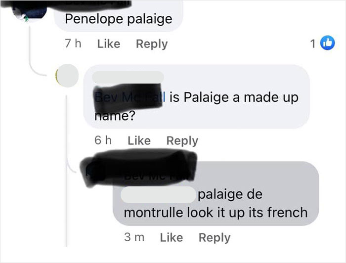 I’ve Been Googling This And Can’t Find Anything And It’s Bugging Me. Is ‘Palaige’ An Actual Name?