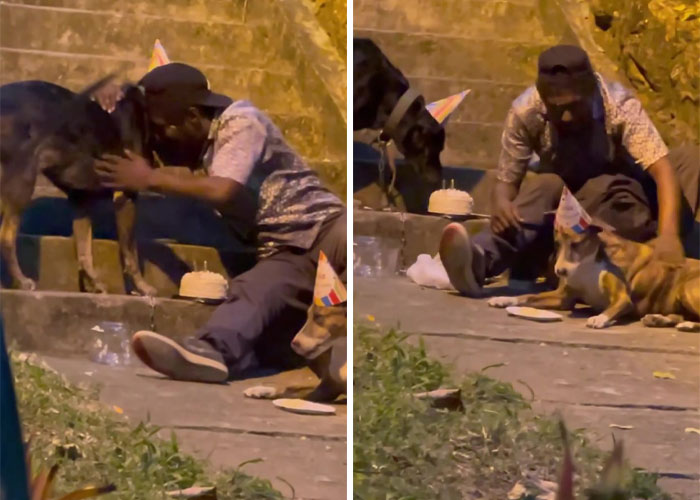Homeless Man’s Birthday Party For His Dog Warms The Hearts Of Many, Leading To A Better Life For Them All Homeless Man’s Birthday Party For His Dog Warms The Hearts Of Many, Leading To A Better Life For Them All