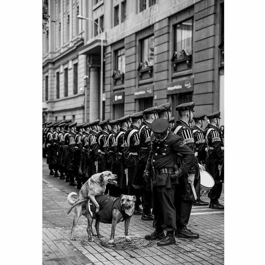 This Instagram Account Features Amusing Street Photographs And Has More Than 500 Thousand Followers (95 New Pics)