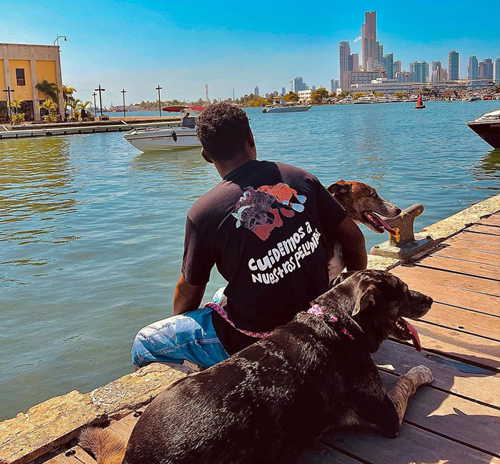 Homeless Man’s Birthday Party For His Dog Warms The Hearts Of Many, Leading To A Better Life For Them All Homeless Man’s Birthday Party For His Dog Warms The Hearts Of Many, Leading To A Better Life For Them All