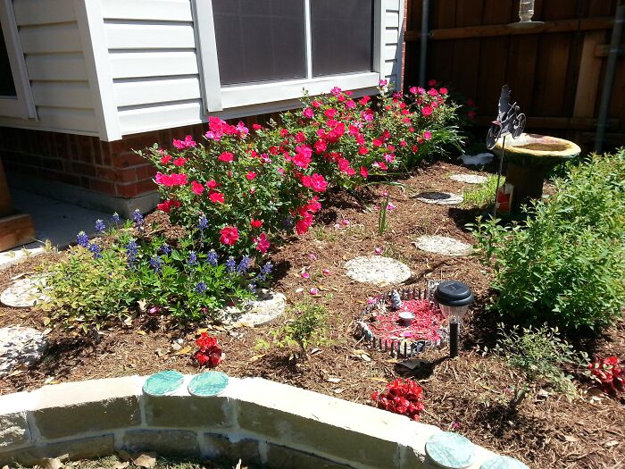 Roses, Bluebonnets, And Begonias, Oh My!