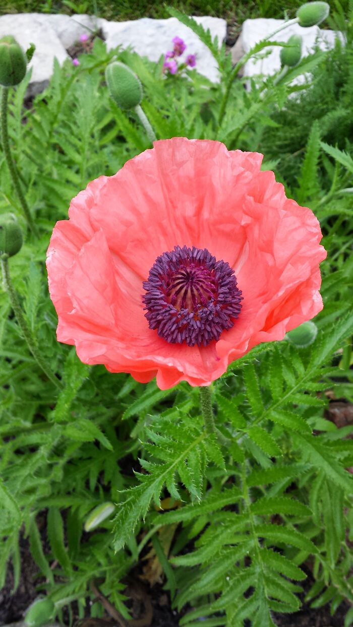 Follow The Yellow Brick Road