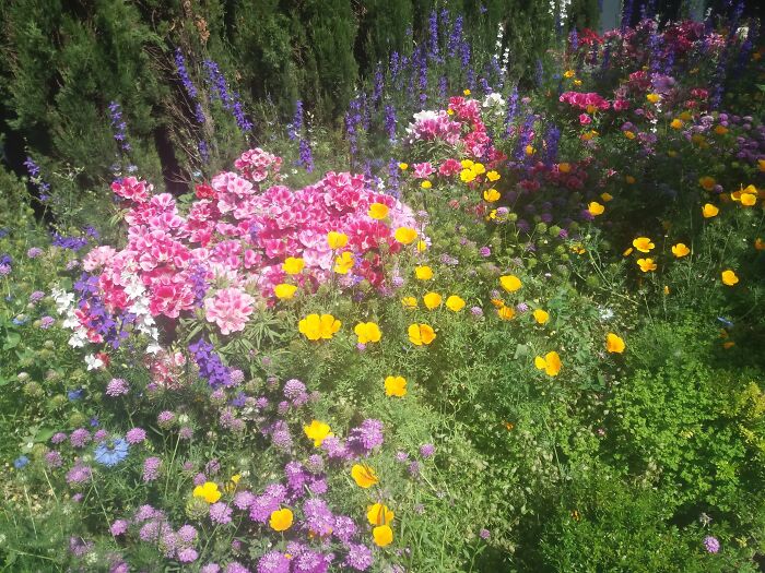 It's A Couple Of Years Old But This Is Part Of The Garden In The Alhambra, Granada