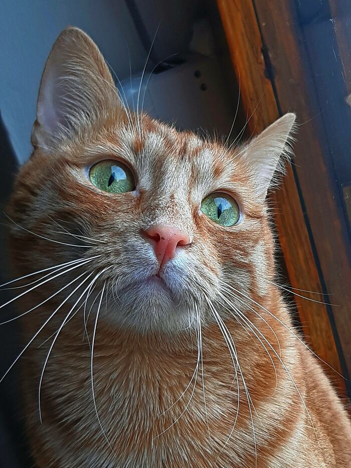 Birds, So Close And So Far! 😄