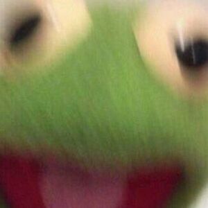 melanie_shook avatar