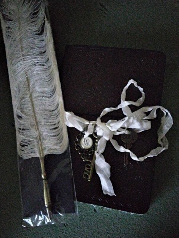 My Antique Feather Pen And Notebook That I Got At An Antique Shop For Only $15.00! I Love To Go Antiqing!