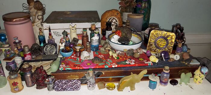 My Miniature Shrine To The Sun, Mrs. Luna And Handicapped Animals