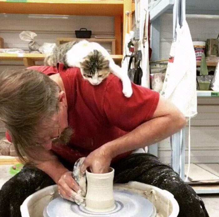 Guess I'm Your Pottery Supervisor