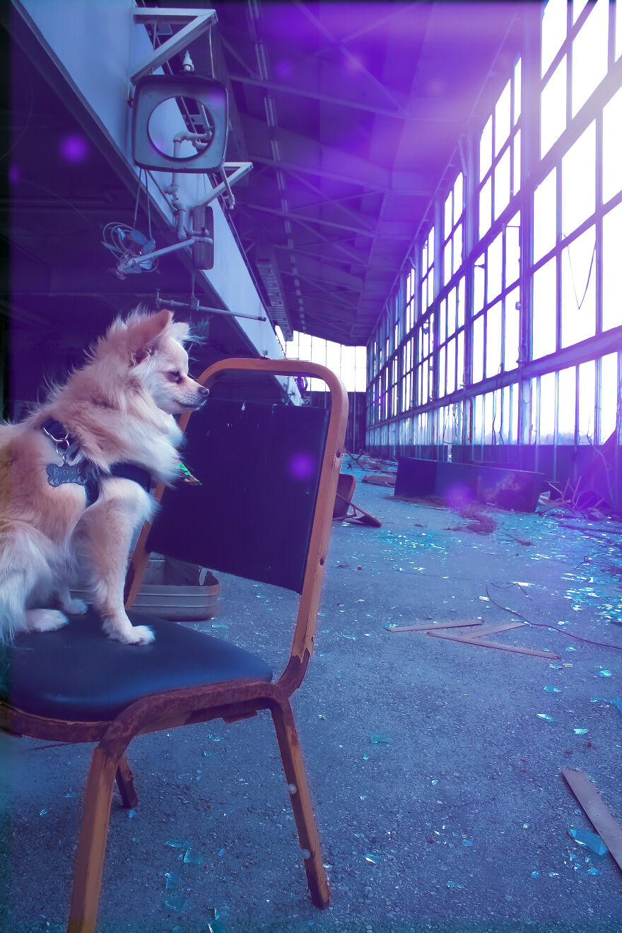 Adventure With Floof…at The Track! Adventure With Floof…at The Track!