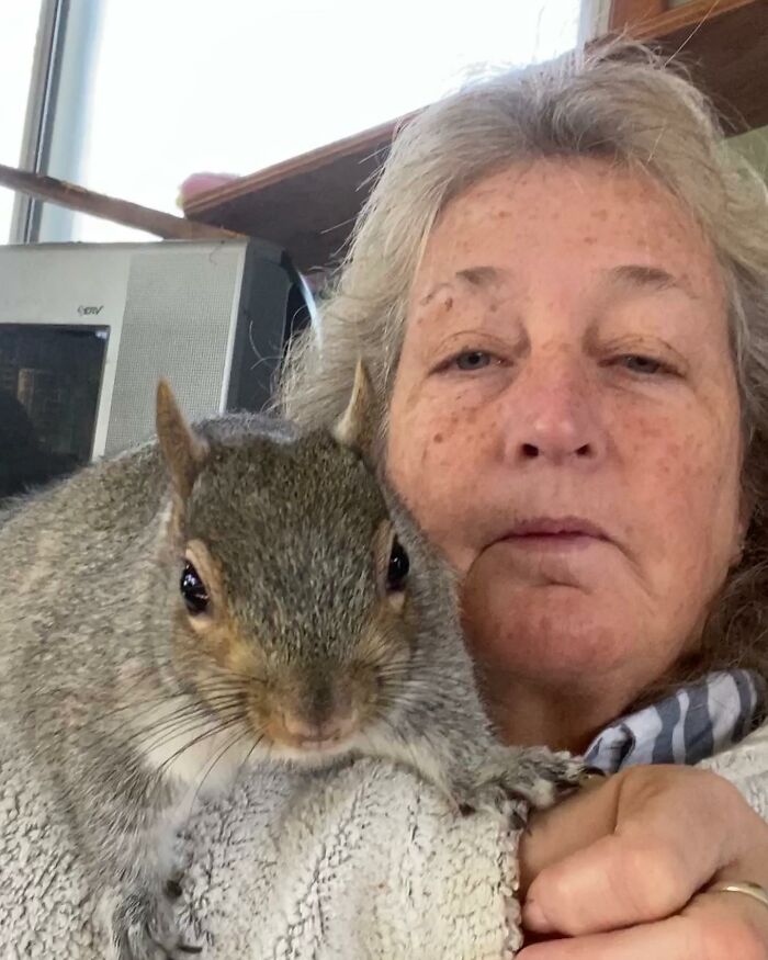 Woman Sheltered A Squirrel She Found In Her Garden Hoping To Release Him Eventually, The Squirrel Decided To Stay With Her