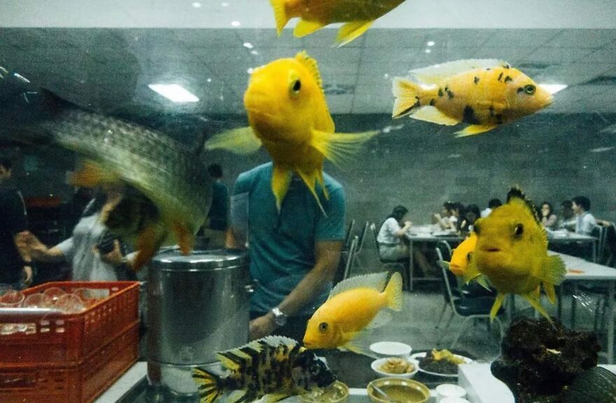 This Instagram Account Features Amusing Street Photographs And Has More Than 500 Thousand Followers (95 New Pics)