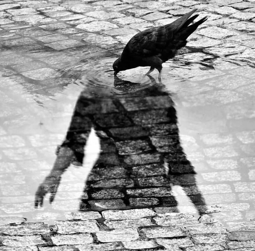 This Instagram Account Features Amusing Street Photographs And Has More Than 500 Thousand Followers (95 New Pics)