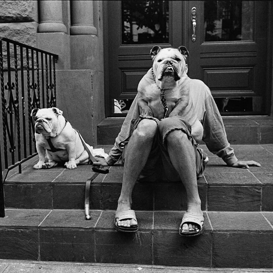 This Instagram Account Features Amusing Street Photographs And Has More Than 500 Thousand Followers (95 New Pics)