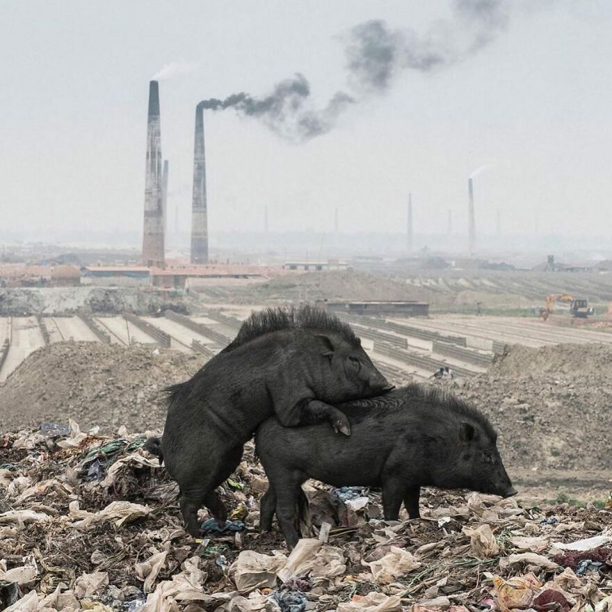 This Instagram Account Features Amusing Street Photographs And Has More Than 500 Thousand Followers (95 New Pics)