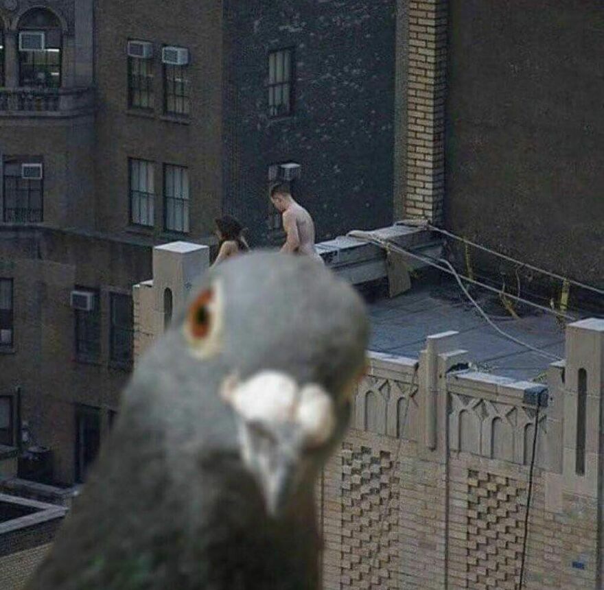 This Instagram Account Features Amusing Street Photographs And Has More Than 500 Thousand Followers (95 New Pics)