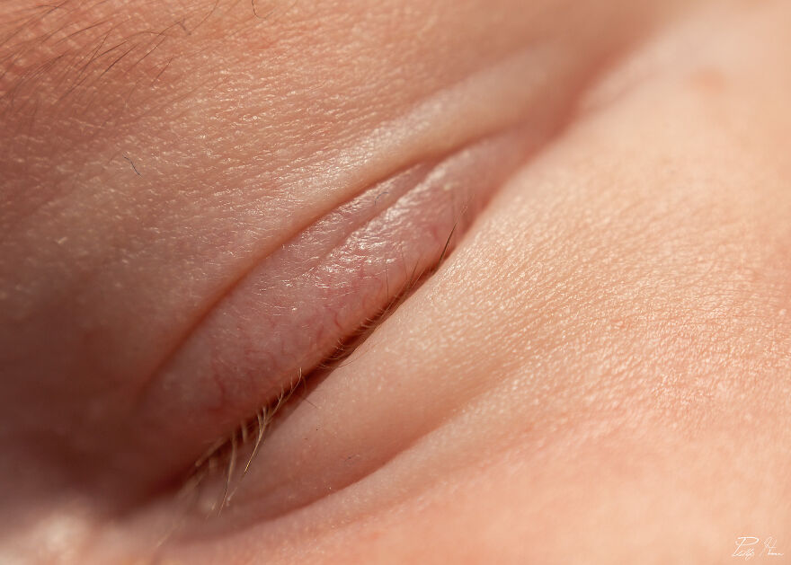 16 Photos Taken With My Homemade Macro Lens, And How To Make Your Own 16 Photos Taken With My Homemade Macro Lens, And How To Make Your Own