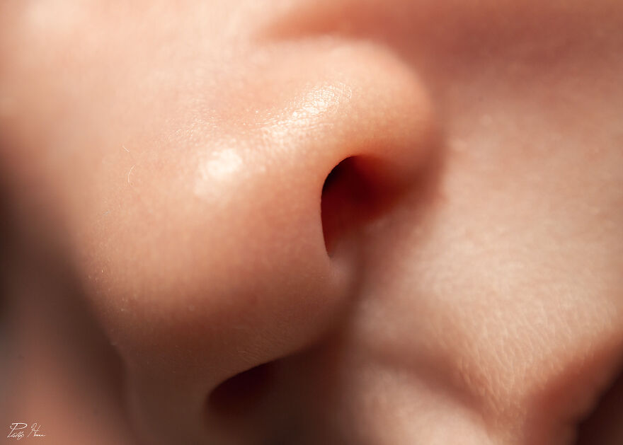 16 Photos Taken With My Homemade Macro Lens, And How To Make Your Own