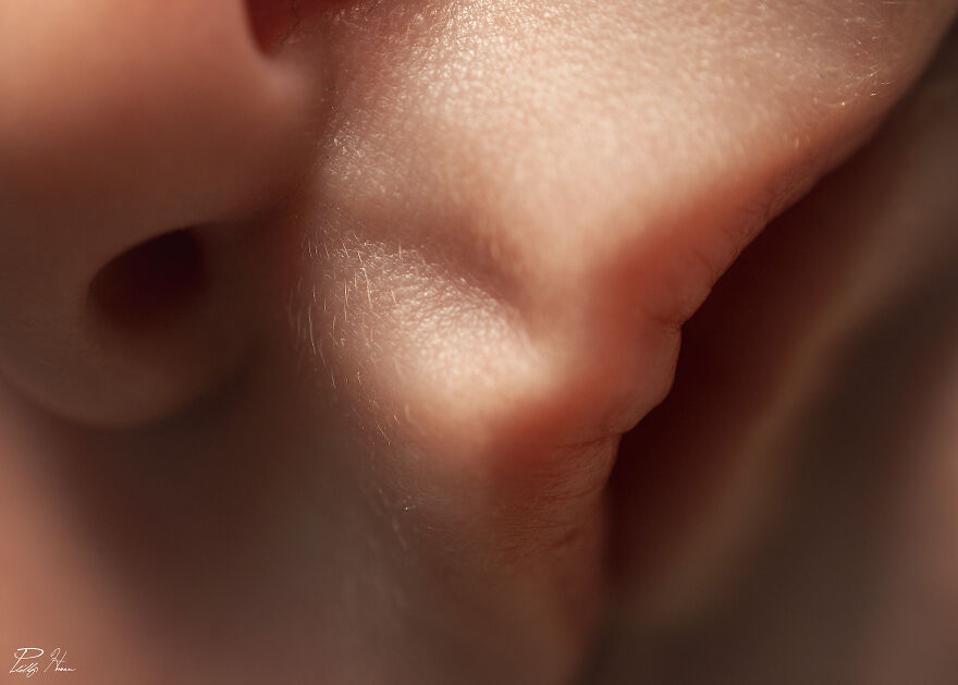 16 Photos Taken With My Homemade Macro Lens, And How To Make Your Own