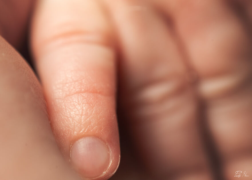 16 Photos Taken With My Homemade Macro Lens, And How To Make Your Own