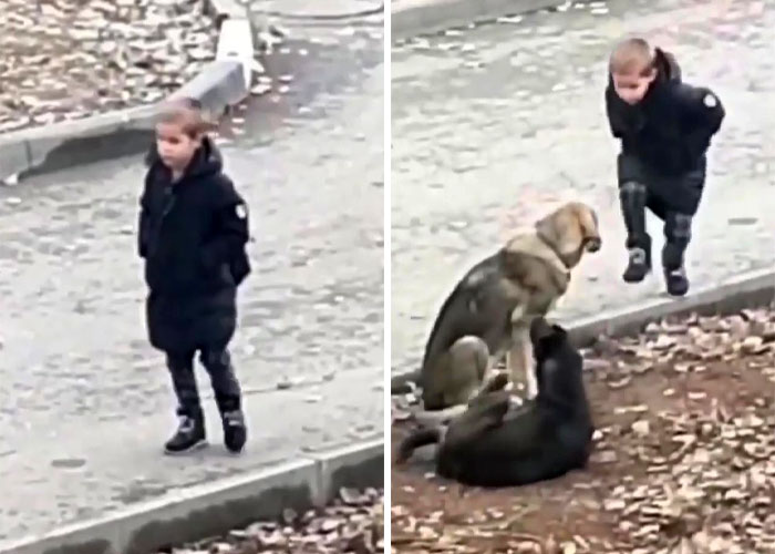 Video shows boy stopping to hug two stray dogs when he thinks no one is looking