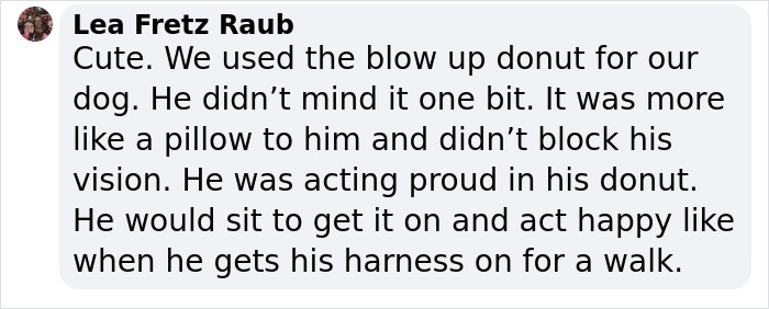 “It’s Always The Dads Who Didn’t Want A Dog That End Up Loving Them The Most”: Dad Wears An E Collar To Lift His Pup’s Spirits After Surgery “It’s Always The Dads Who Didn’t Want A Dog That End Up Loving Them The Most”: Dad Wears An E Collar To Lift His Pup’s Spirits After Surgery