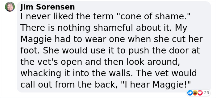 “It’s Always The Dads Who Didn’t Want A Dog That End Up Loving Them The Most”: Dad Wears An E Collar To Lift His Pup’s Spirits After Surgery “It’s Always The Dads Who Didn’t Want A Dog That End Up Loving Them The Most”: Dad Wears An E Collar To Lift His Pup’s Spirits After Surgery