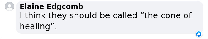 “It’s Always The Dads Who Didn’t Want A Dog That End Up Loving Them The Most”: Dad Wears An E Collar To Lift His Pup’s Spirits After Surgery “It’s Always The Dads Who Didn’t Want A Dog That End Up Loving Them The Most”: Dad Wears An E Collar To Lift His Pup’s Spirits After Surgery