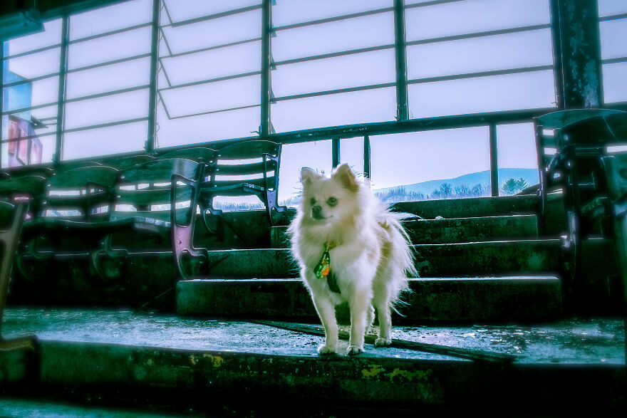 Adventure With Floof…at The Track! Adventure With Floof…at The Track!