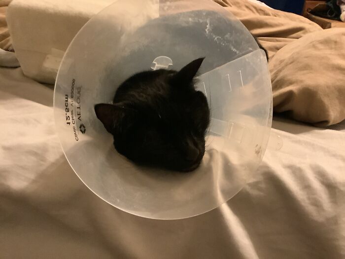 He Is So Mean He Is Scary