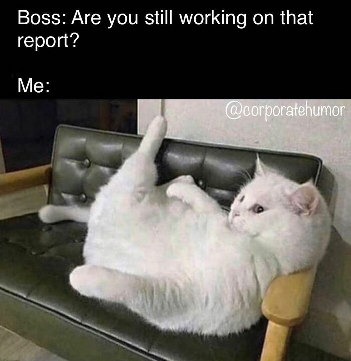 Almost Done... Just Doing A Final Review...
.
.
.
.
.
#deadline #lazy #corporatehumor #corporate #humor #worklife #work #wfh #wfhlife #workfromhome #funny #funnymemes #worksucks #workmeme #workmemes #workprobs #workproblems #worksucks #workhumor #officelife #officememes #officememe #officehumor #catsofinstagram #cats #catstagram #meow