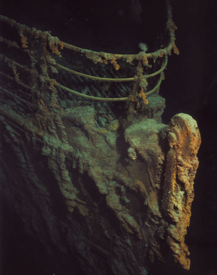 30 New ‘Today I Learned’ Facts That Prove It’s Never Too Late To Learn