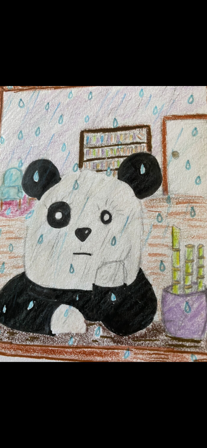 Rainy Day Bored Panda!