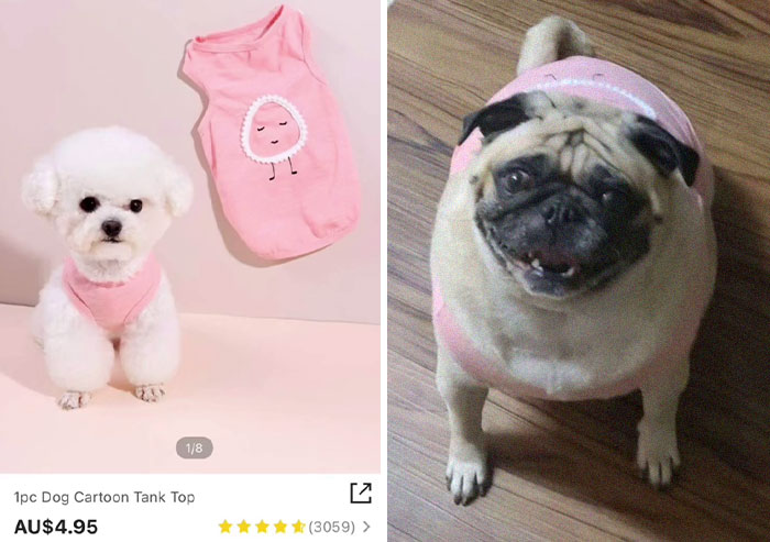 30 Times Shein Customer Reviews Were Even More Entertaining Than The Products They Sell