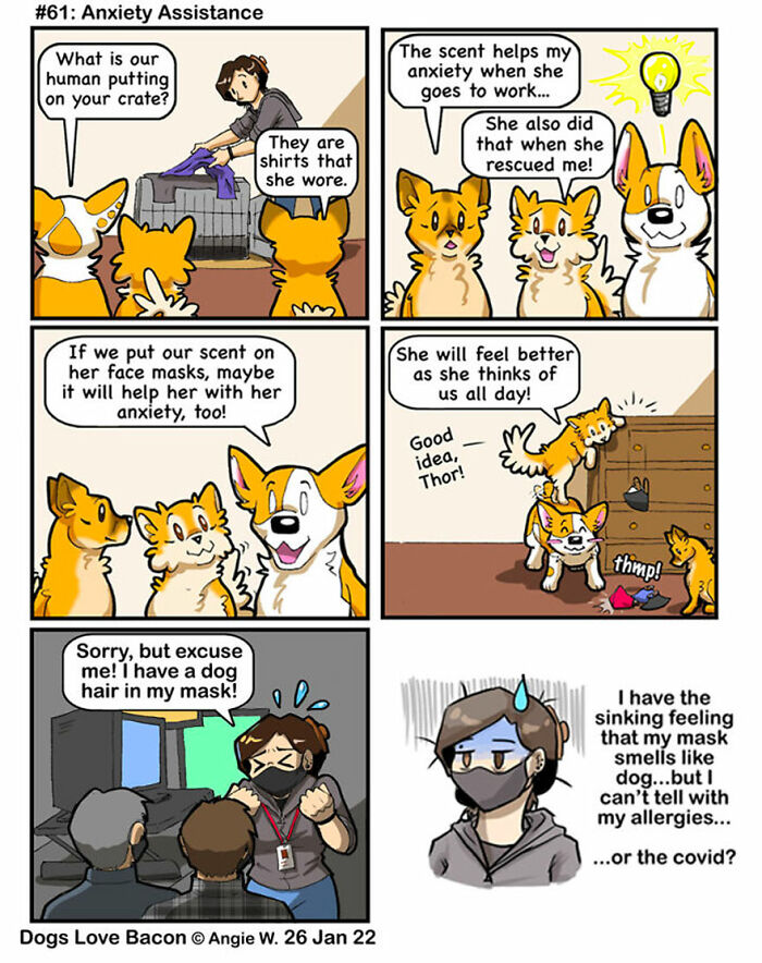 I Started A Comic About My Rescue Dogs, And Here Are Some More Comics!