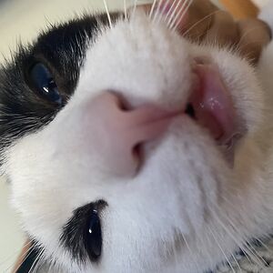 harmonylopez-smith_1 avatar