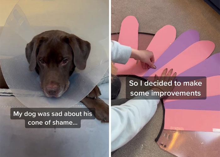 “It’s Always The Dads Who Didn’t Want A Dog That End Up Loving Them The Most”: Dad Wears An E Collar To Lift His Pup’s Spirits After Surgery