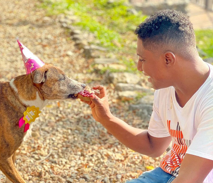 Homeless Man’s Birthday Party For His Dog Warms The Hearts Of Many, Leading To A Better Life For Them All