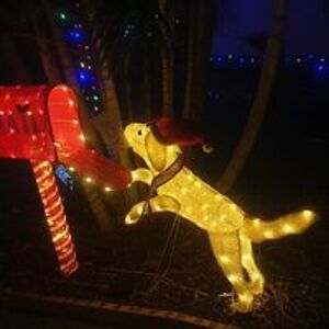 2013brownslee avatar