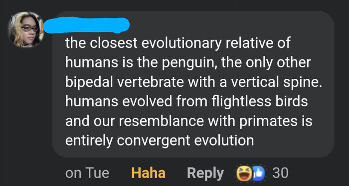 The Closest Evolutionary Relative Of Humans Is The Penguin