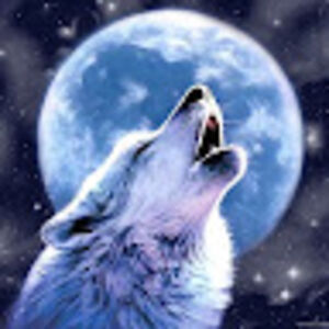 Emwolf