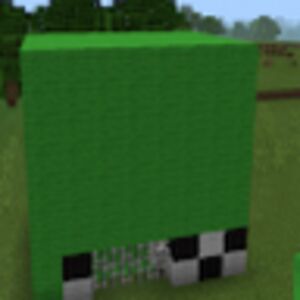 rayan_salman2010 avatar