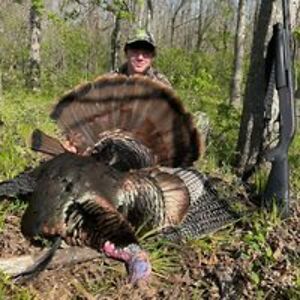 julie_collier avatar