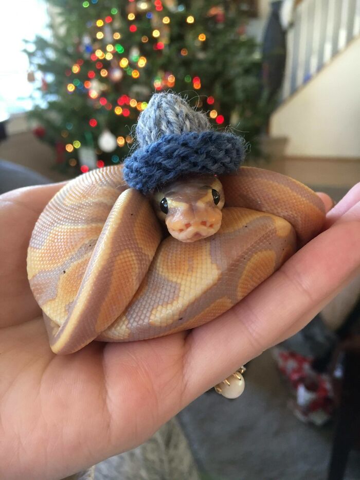 A Handsome Young Man Wearing His Homemade Hat