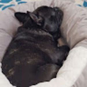 hannahalderman avatar