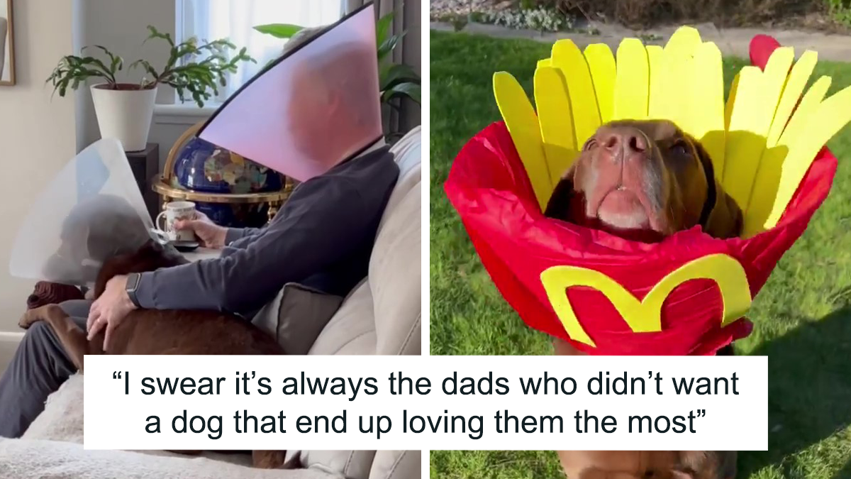 “It’s Always The Dads Who Didn’t Want A Dog That End Up Loving Them The Most”: Dad Wears An E Collar To Lift His Pup’s Spirits After Surgery