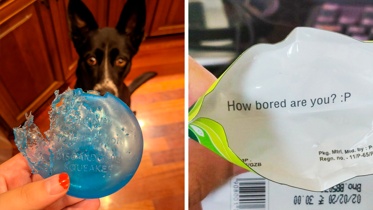 50 Times People Were Lucky Enough To Find These Easter Eggs Hidden In Real Life (New Pics)