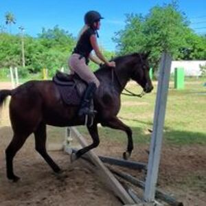 catherinepuma avatar