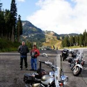 tracywphillips1 avatar